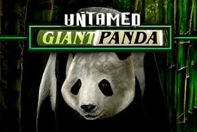 Untamed - Giant Panda