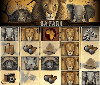 Safari