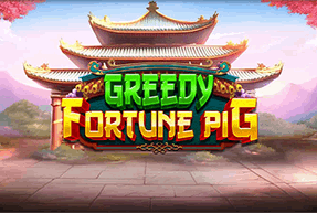 Greedy Fortune Pig